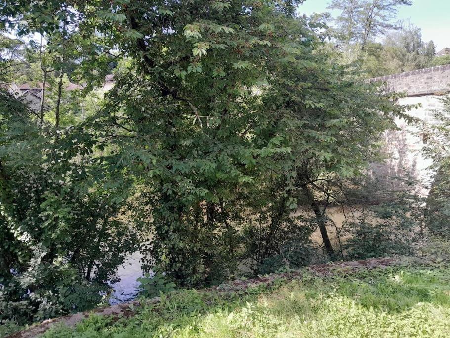 Le Refuge Du Cele Studio Paisible Jardin Et Riviere Figeac Exterior photo